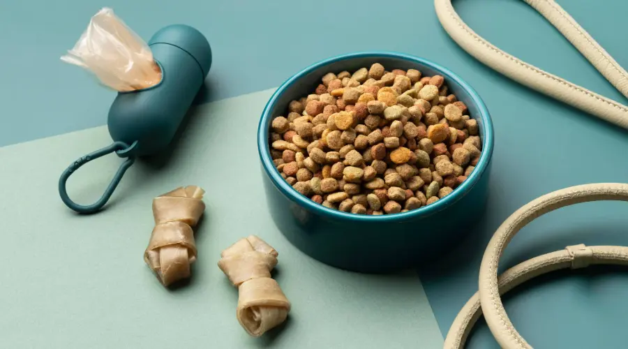 Guía completa para elegir la mejor comida para perros